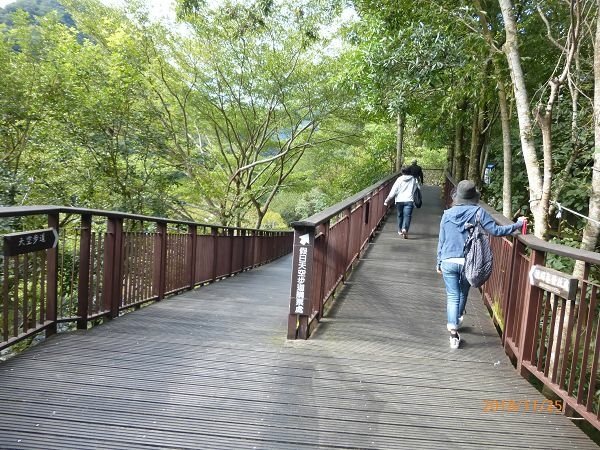 〈台灣好行小烏來線〉~ 小烏來天空步道