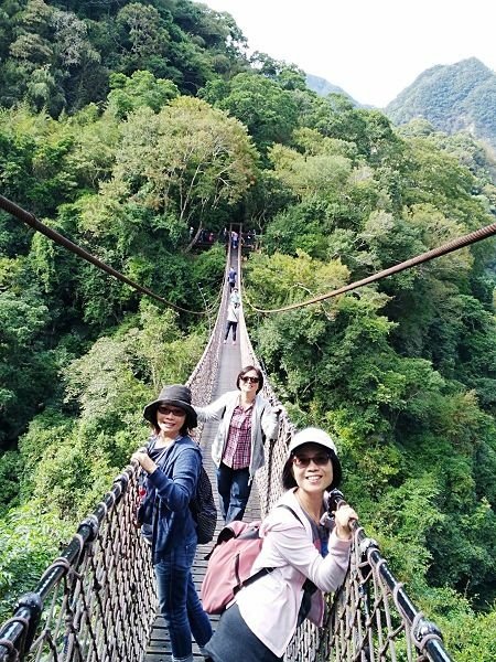 〈台灣好行小烏來線〉~ 小烏來天空步道