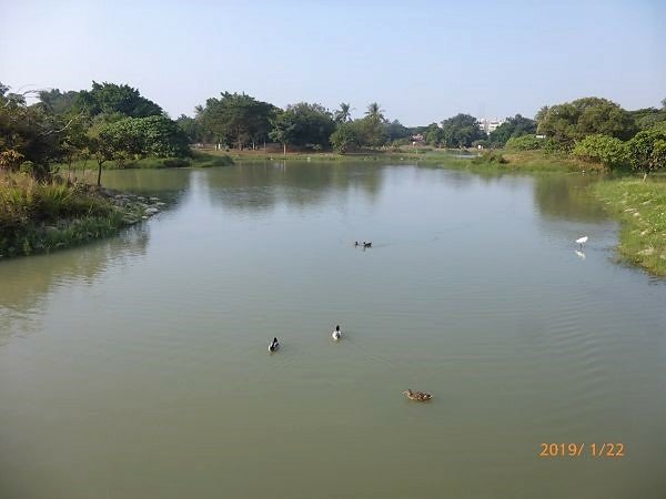 高雄衛武營都會公園
