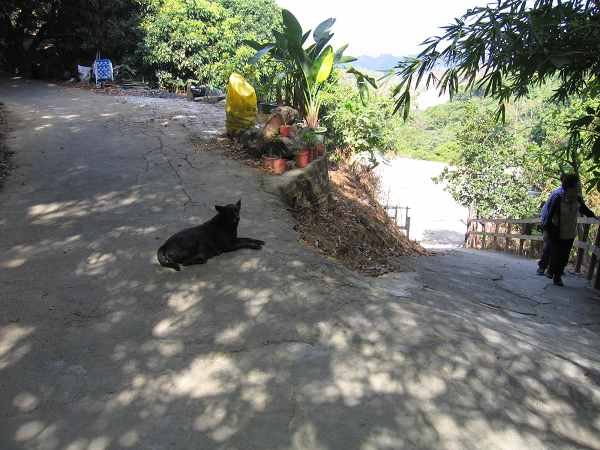 IMG_0086.jpg