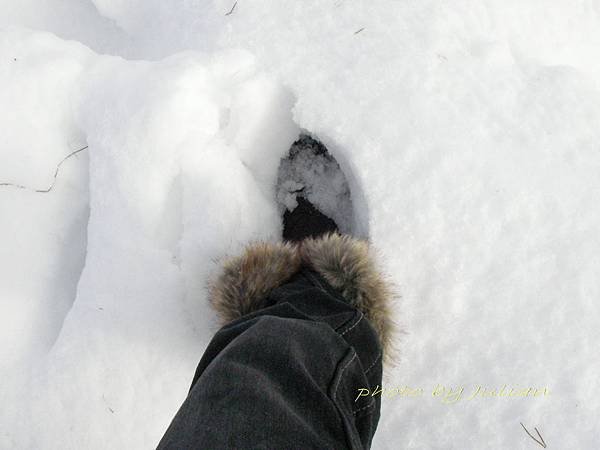 14北海道雪上活動