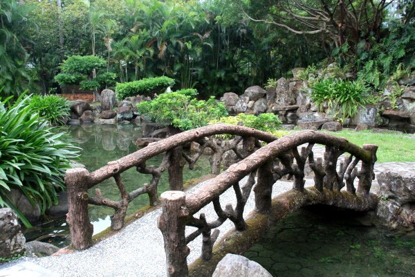官邸賞菊