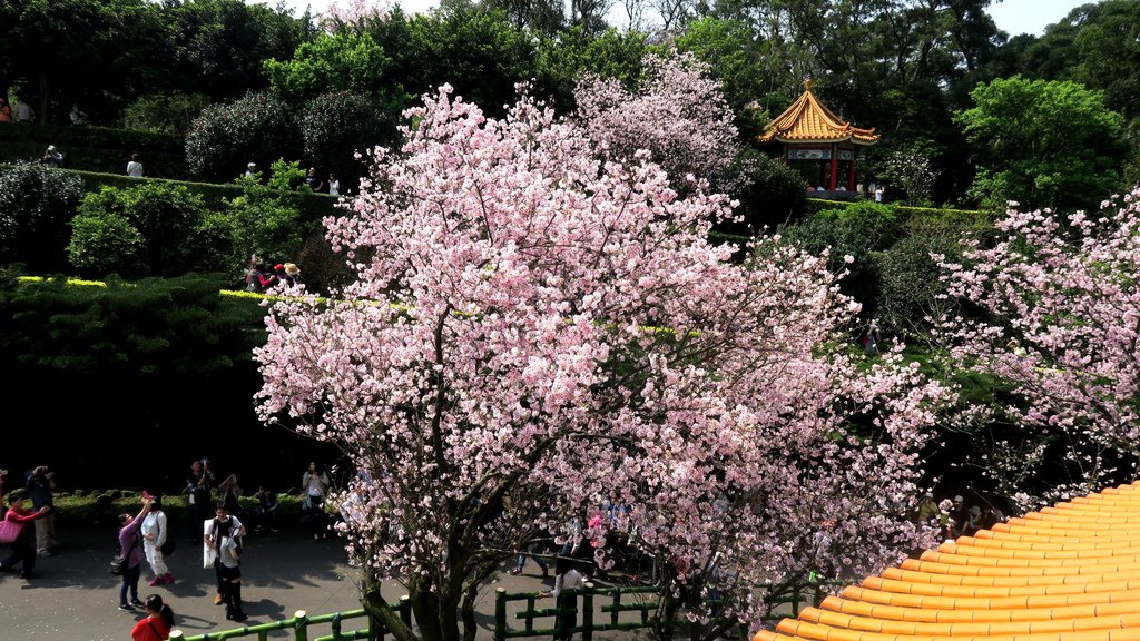 IMG_5883.JPG