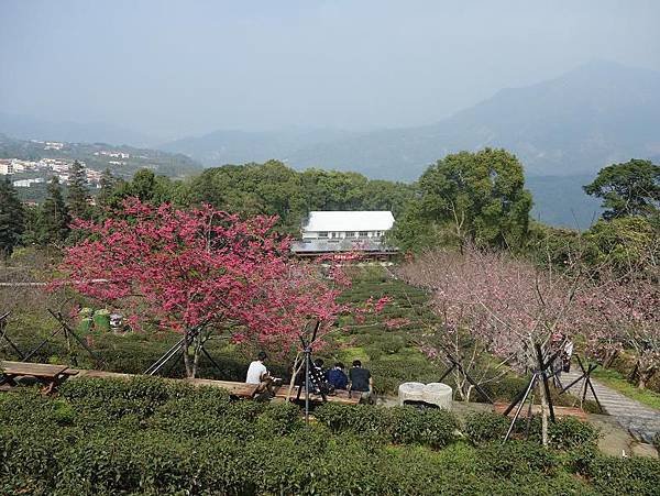 DSC06893.JPG