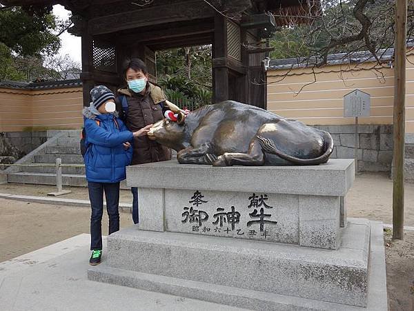 DSC09890.JPG