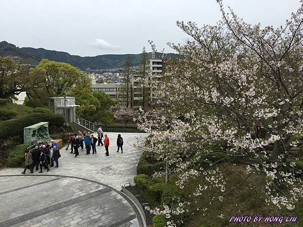 IMG_2041