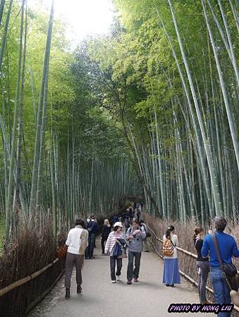 P1020111.JPG