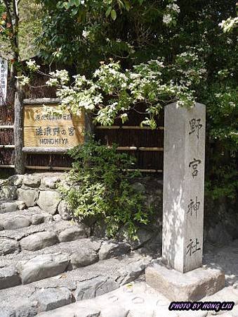 P1020143.JPG