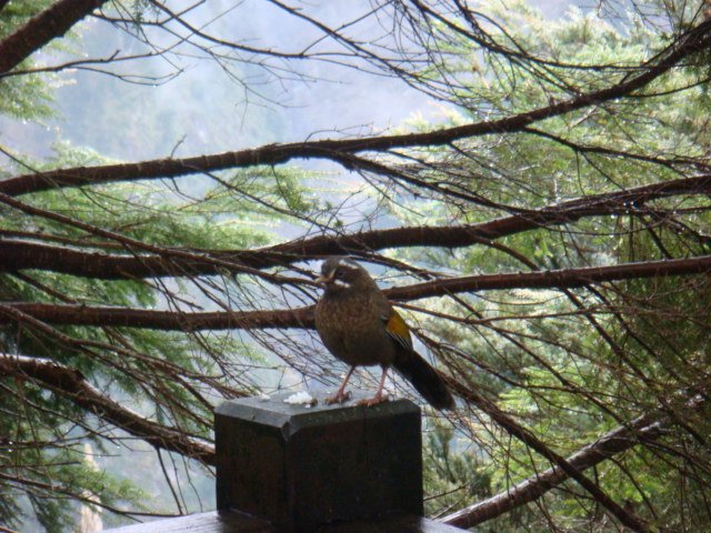 DSC07375.JPG
