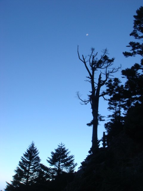 DSC07399.JPG