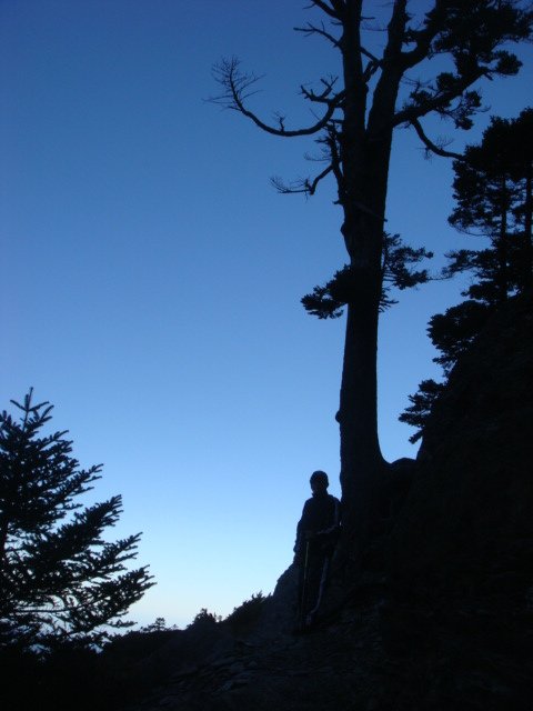DSC07401.JPG
