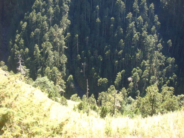 DSC07442.JPG