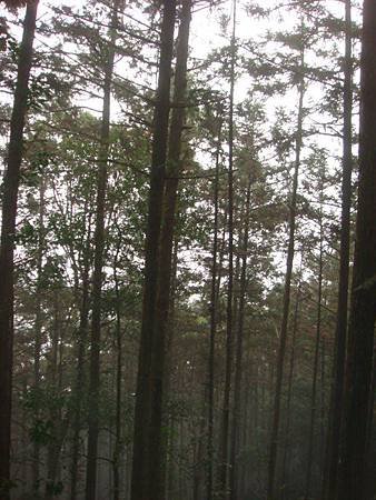 DSC08008.JPG