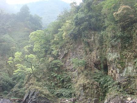 DSC08050.JPG