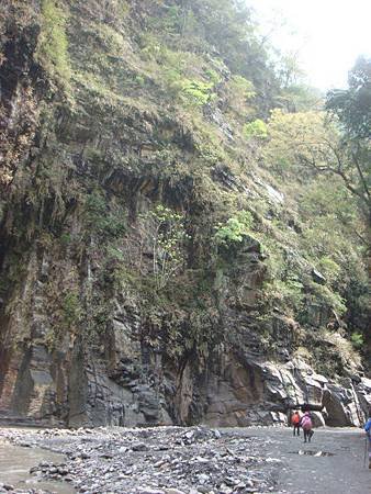 DSC08082.JPG