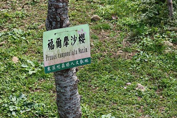 2020寒溪呢森林人文叡地遊賞