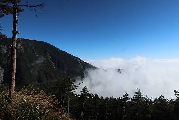 高雄各地采風與花賞（二十一）