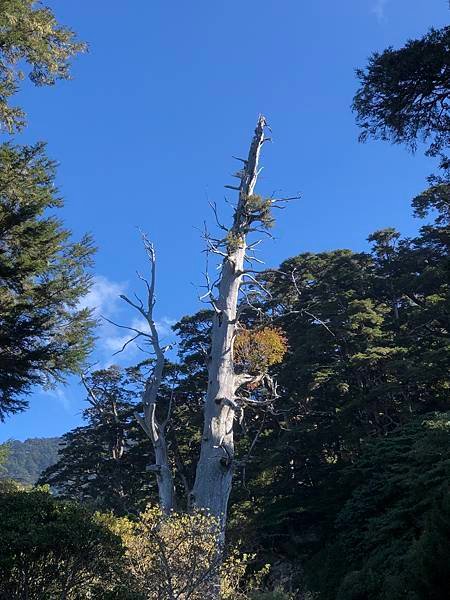 高雄各地采風與花賞（二十一）