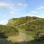 20110726_6.jpg