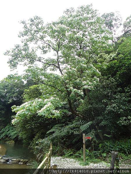 DSC04426