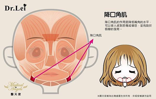 降口角肌003.jpg
