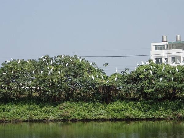IMGP0339