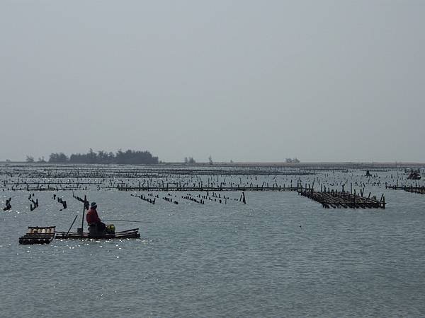 IMGP0374