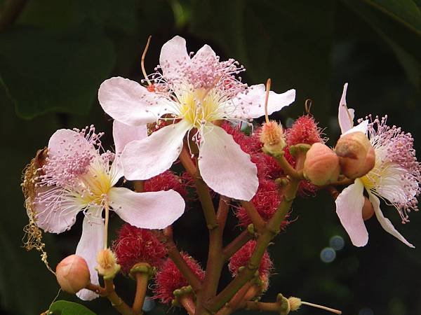 IMGP8982