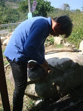 國姓山居103.10.10-7