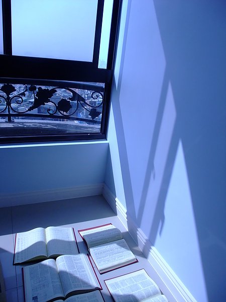 整理時，把書都拿出來曬太陽