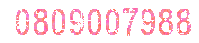 0809007988