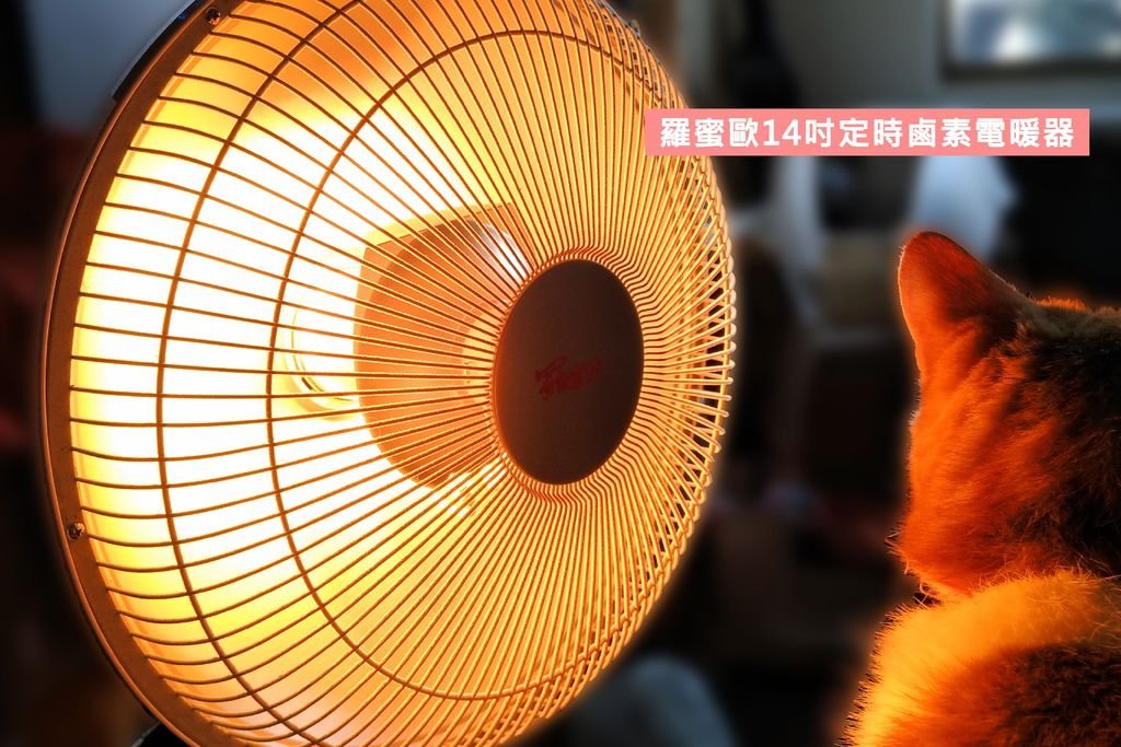 【家電開箱】羅蜜歐14吋定時鹵素電暖器-即開即熱，冬天必備.jpg