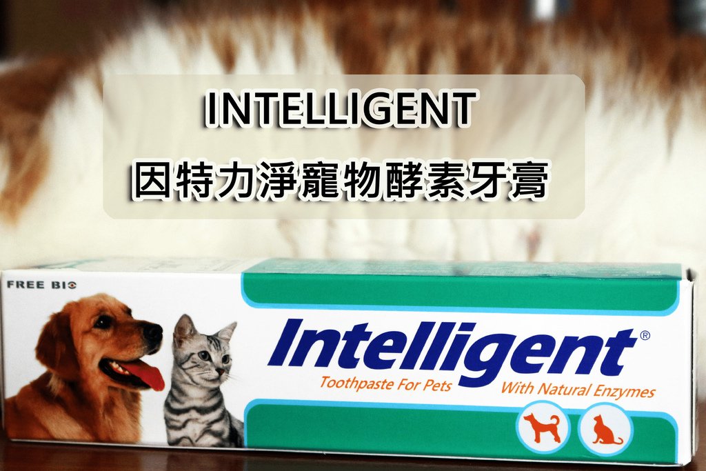 INTELLIGENT因特力淨寵物酵素牙膏.jpg