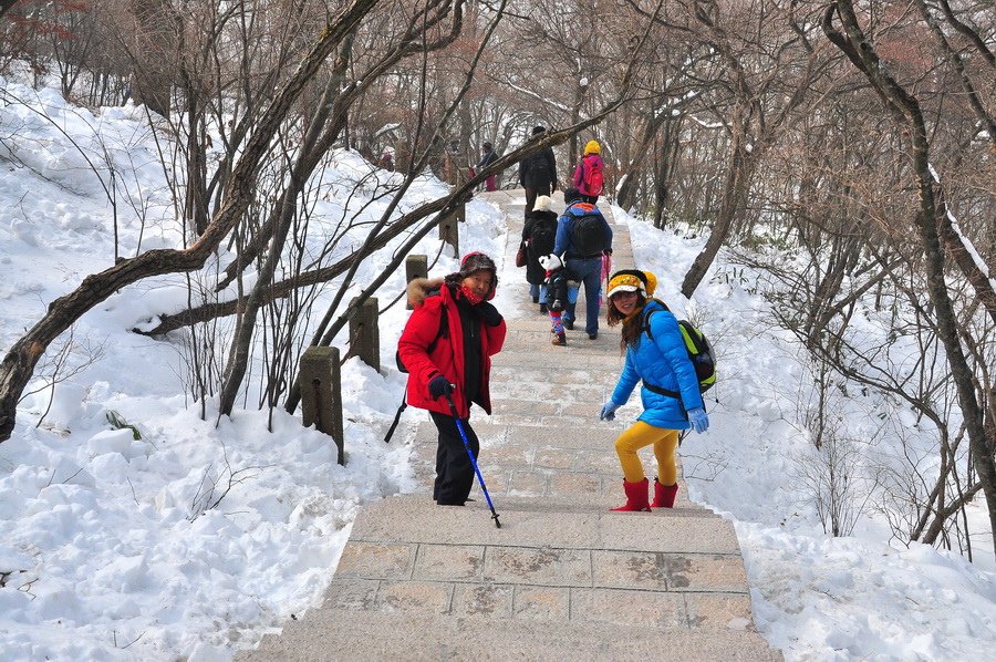 黃山之旅19