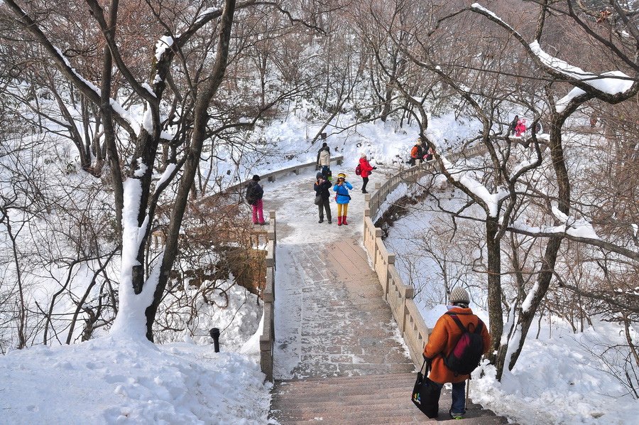 黃山之旅20