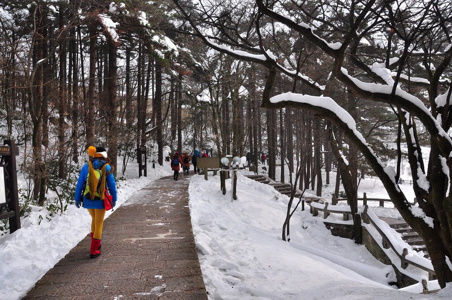 黃山之旅25