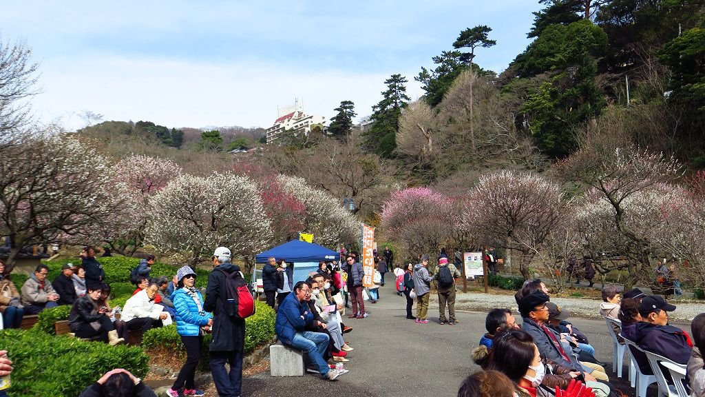  2017.2.18熱海梅園梅花祭011.jpg