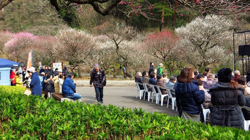  2017.2.18熱海梅園梅花祭013.jpg