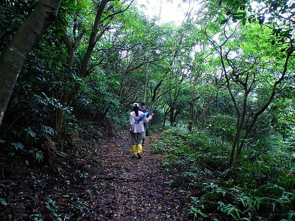 08-03坑子村步道.JPG