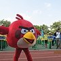 IMG_3633.JPG