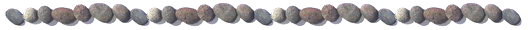 bm0102.gif