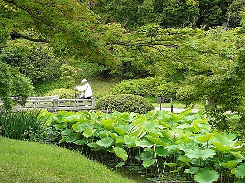 也許有一天~日本四國 