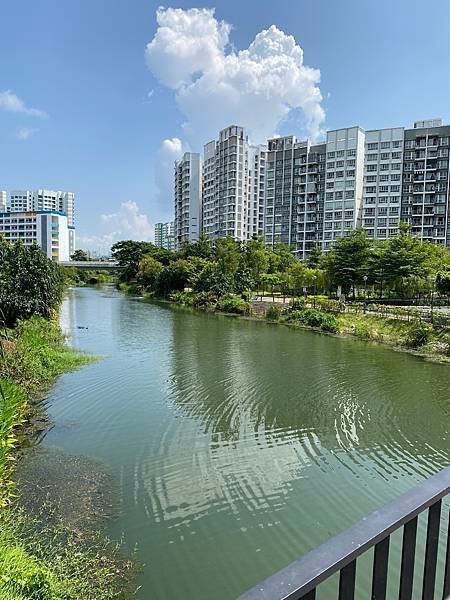 【旅居新加坡】 海岸線到海岸線的腳踏車紀錄 C2C Coas