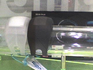 DSC01050.JPG