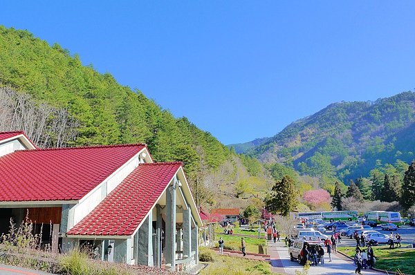 P1010653.JPG