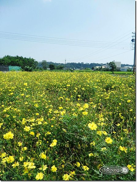 SAM_8102拷貝.jpg