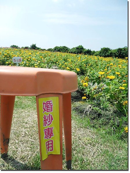 SAM_8099拷貝.jpg