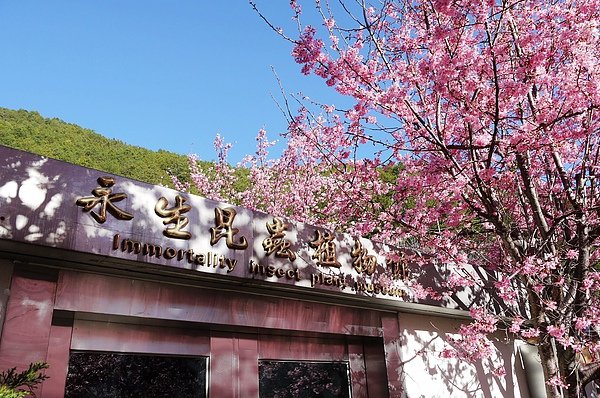 P1010614.JPG