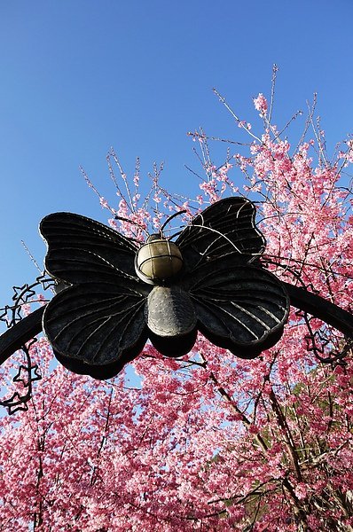 P1010580.JPG