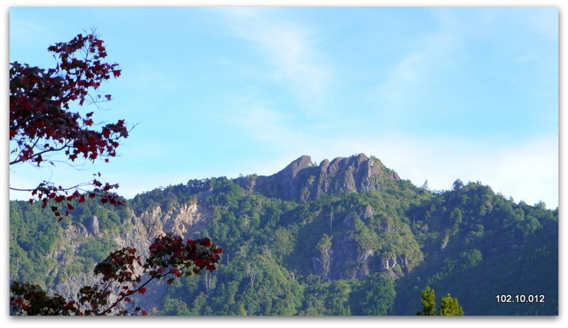 嘉義 阿里山秋遊